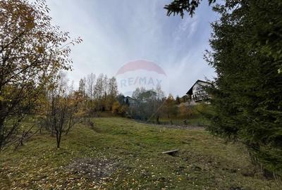 Teren de Vis in Bran - 1000mp Plat, Liniste Absoluta si Aer Curat - 13