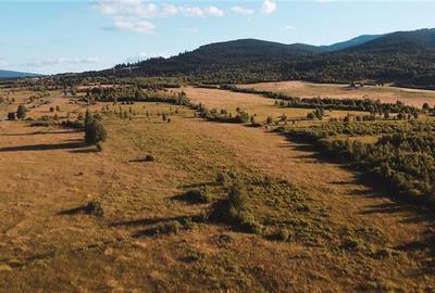 Teren intravilan de 52555 mp, în Suseni - 3