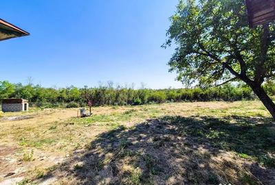 Casă cu 3 camere cu Teren 2000 Mp în Negrași - 1