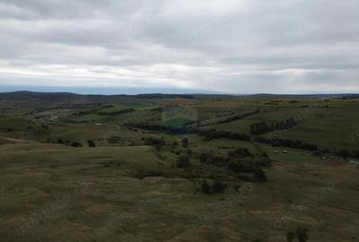 Teren de vanzare, 65 hectare - Agnita - 1