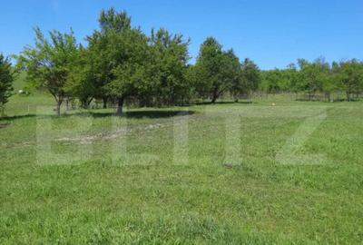 Teren intravilan de vanzare, 28 de ari, zona Herina, Bistrit - 2