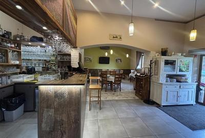 RESTAURANT GYULA | UNGARIA | PANOURI SOLARE | 245 MP |  TERASA PE LAC - 8