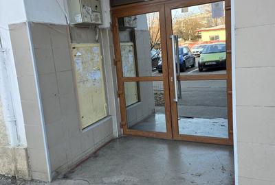 Apartament cu 3 camere decomandat în Plantelor - 4