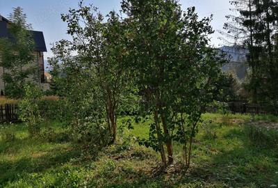 Casă cu 3 camere în Predeal - 7