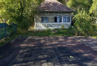 Visinesti Dambovita casa si teren - 4