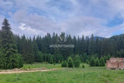 Teren Construcții intravilan de 4698 mp, în Poiana Brașov - 5