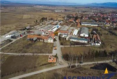 In areal linistit, acces facil, 120.000mp teren extravilan, Covasna , Borosneu Mare. - 2