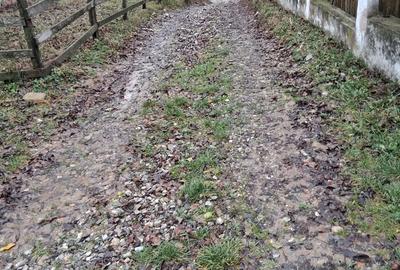 Casa cu 1000 m2 teren, 40 km Sinaia, 15km Pucioasa - 5