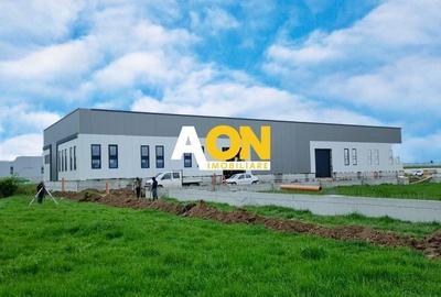 Spațiu industrial, de 1,165 mp, în Drâmbar - 3