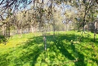 Casă individuală cu 5 camere cu Teren 800 Mp în Ardeova - 23