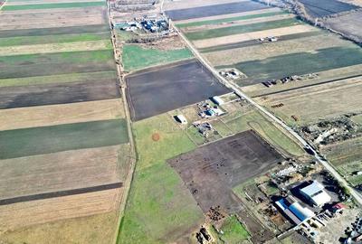 Teren de 31400 mp, în Codlea - 11