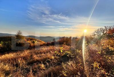 Teren de vanzare - 3