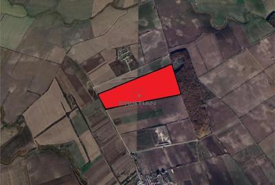 Teren Corbeanca - Ostratu, Ilfov - 4