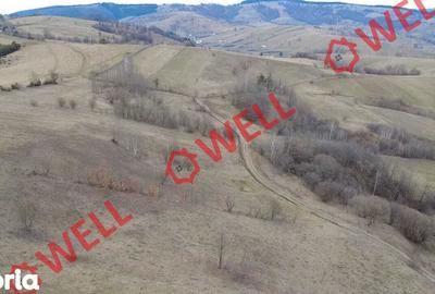 Teren de 4200 mp, în Barcani - 6