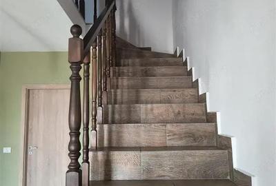 Duplex - Mosnita Noua - Teren 340 mp - 4