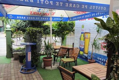 Spatiu comercial, 100 mp, terasa, Bld. Castanilor Spatiu comercial, 100 mp, terasa, Bld. Castanilor - 3