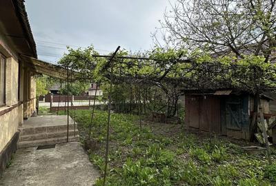 Casă cu 2 camere în Mica - 1