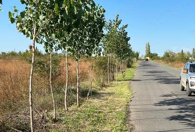 Titan -Policolor-drum gura Saratii Drum gura Calmatui, intravilan ,7290 mp - 4