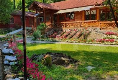 Complex turistic, 60 de locuri disponibile, ciubar, piscina, jacuzzi, Sebes