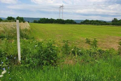 Teren de 2500 mp, în Urleta - 3