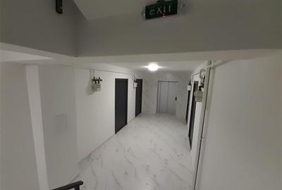 Apartament cu 2 camere decomandat în Vișani - 9