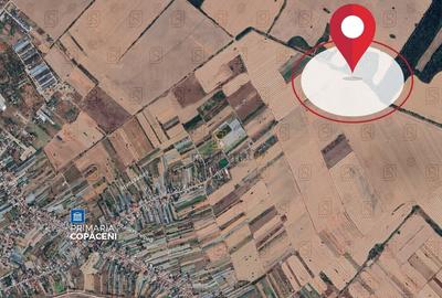 Teren agricol intravilan de 38876 mp, în Copăceni - 3