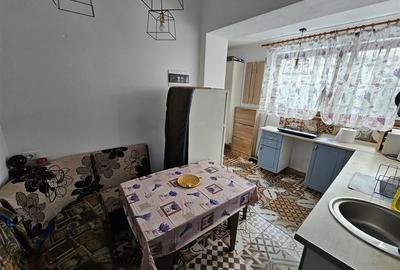 Casa 2 apartamente si curte privata , AFI Mall Brasov - 4