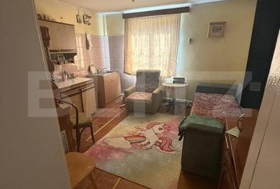 Casa cu etaj, 160 mp utili, 1352 mp teren, zona Burdujeni - 15