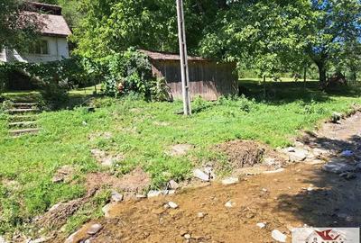 Casa de vanzare in zona Vintu cu 10.790 mp teren Casa de vanzare in zona Vintu cu 10.790 mp teren - 14