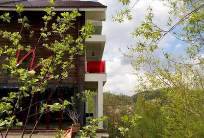 Luxury Boutique Villa & Exclusive Penthouse Cioplea, Predeal, Brasov - 14