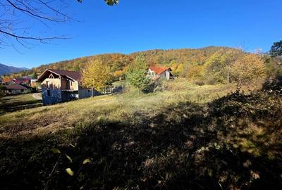 Casa / Vila cu 5 camere de vanzare - 5