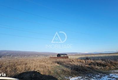 Spațiu comercial, în Central