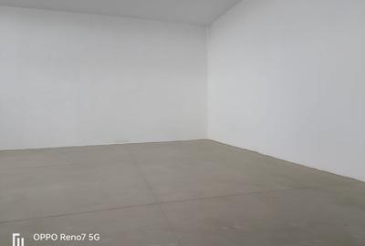 Spatiu industrial/comercial de inchiriat - 7