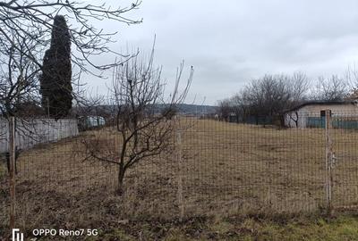 Teren de vanzare -Reghin - Iernuțeni 7000 mp - 3