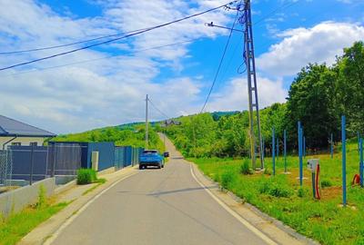 Casă cu 4 camere în Tomești - 7