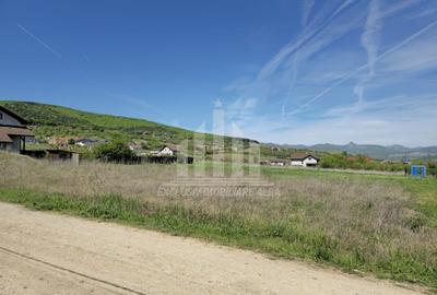 Teren Construcții intravilan de 423 mp, în Micești - 2