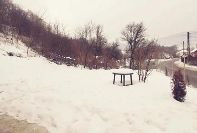 Casă cu Teren 1592 Mp în Sărățel - 3