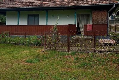 Casă în Petea - 4