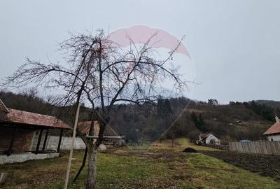 CASA 3 CAMERE SINCA NOUA / 5650 mp teren - 3