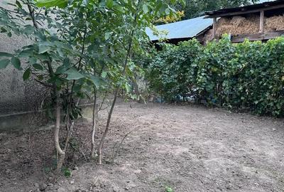 Casă cu 4 camere cu Teren 1610 Mp în Ciochina - 5