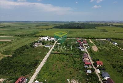 Teren Mogosoaia - PUZ aprobat pentru vile P+1E - 5