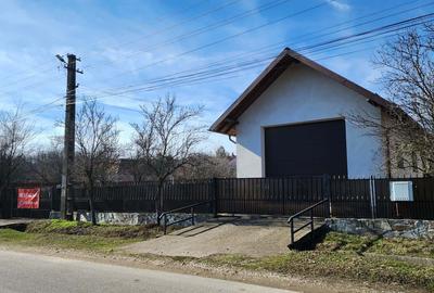 Casă cu 4 camere cu Teren 3000 Mp în Călinești - 13