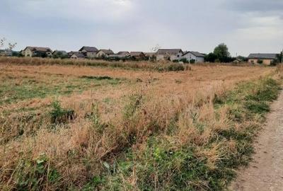 VANZARE TEREN COM. DOMNESTI- SAT. TEGHES VANZARE TEREN COM. DOMNESTI- SAT. TEGHES - 4