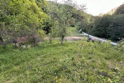 Casă în Almaș-Săliște - 3