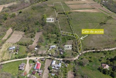 Casă individuală cu 3 camere cu Teren 7391 Mp în Gorghești - 1