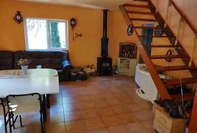 Casă cu 3 camere în Gura Râului - 5