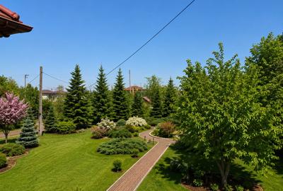 Casă individuală cu 10 camere cu Canalizare în Ciorogârla - 7