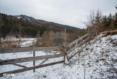 Teren de 49000 mp, în Borca - 1