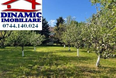 Casă, zona Dedeman, 3.433 mp teren. Preț 275.000 Eur - 18