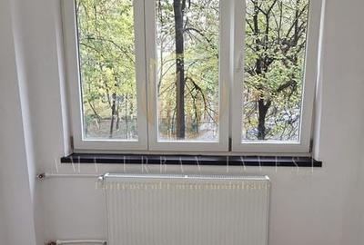 2 camere Teiul Doamnei, Ion Berindei circa 7 poliție - 4